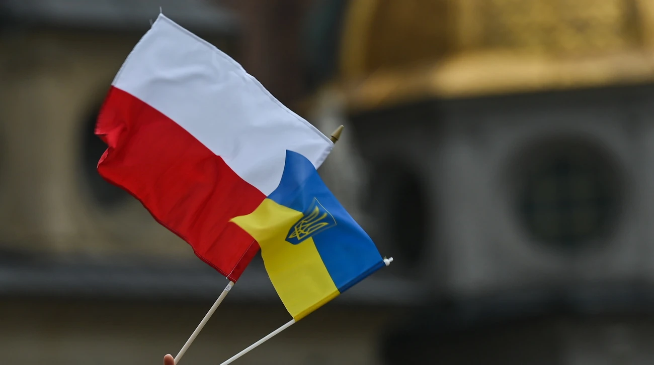 IBRiS: дві третини поляків підтримали ідею ПіС про депортацію українських чоловіків